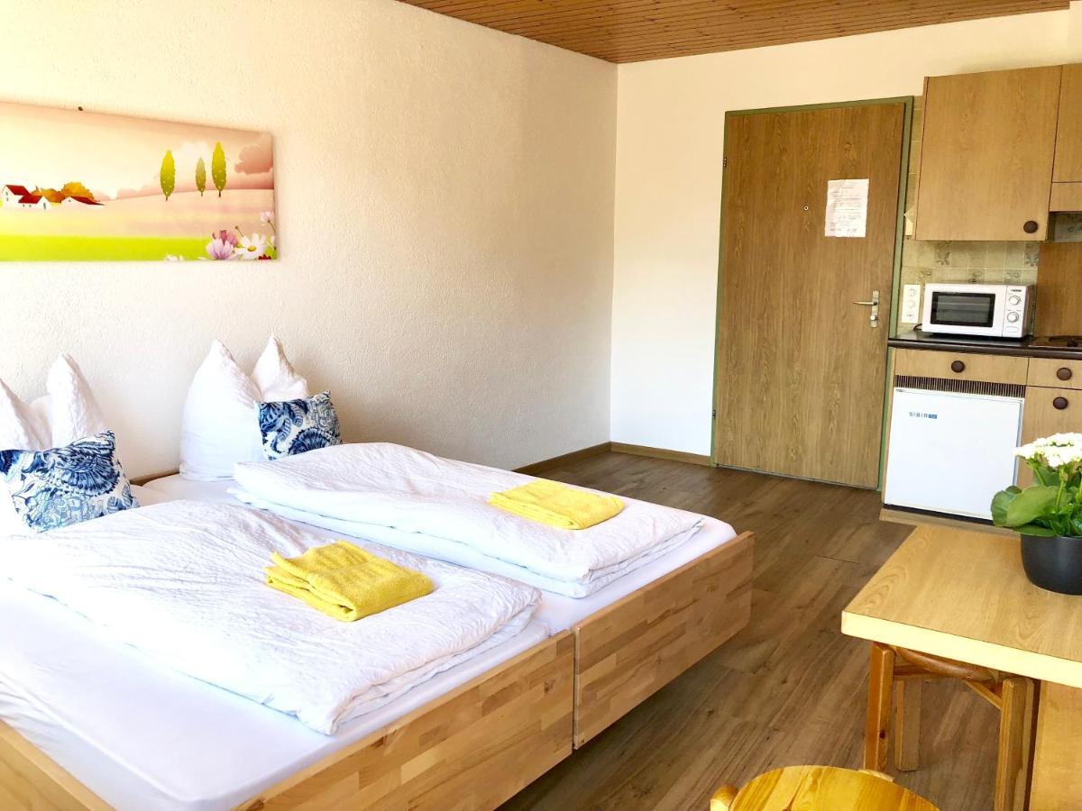 Central Beauty Scenery Apartment Interlaken Exterior foto